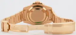 GOLD BLUE WATCH