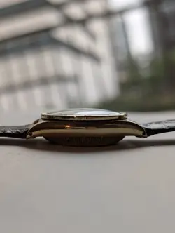 YELLOW GOLD BUBBLEBACK