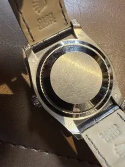 DAYTONA OYSTER