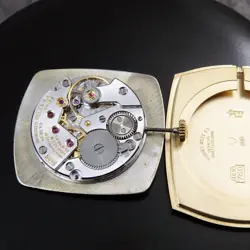 WATCH YG