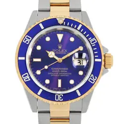 16613 VIOLET PURPLE