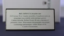 ROLEX - DAYTONA 116515 LN PLATES DISPLAY