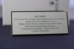 ROLEX - DAYTONA 116505 PLATES DISPLAY