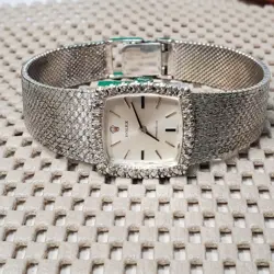 SS WRISTWATCH