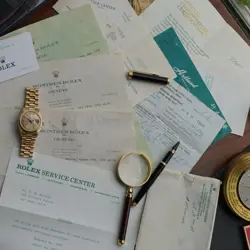 ORIGINAL PAPERS