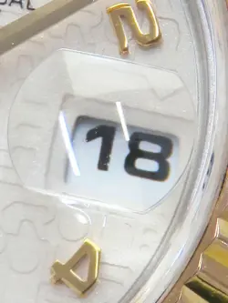 IVORY CASE