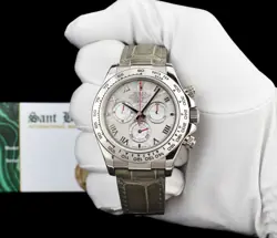 GOLD DAYTONA METEORITE