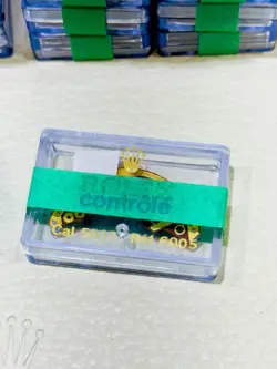 6005 ELECTRONIC MODULE