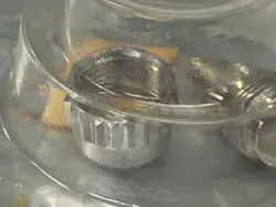 24 P402