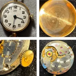 GOLD TUDOR ROYAL