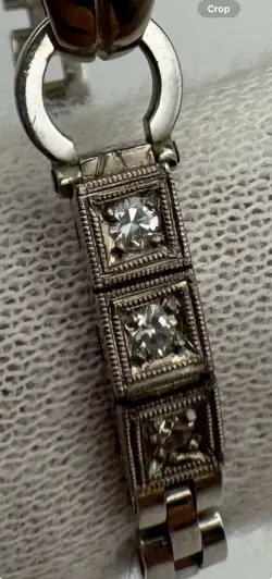 SOLID GOLD CASE