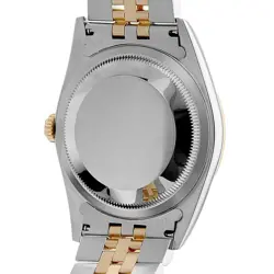 WHITE SHELL ROMA