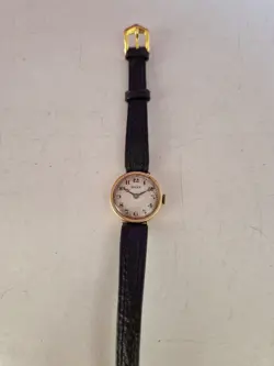 GOLD CASE FAULTY