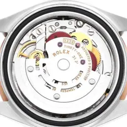 BROWN DIAL LADIES