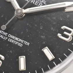 Rolex Men's Explorer I 14270 W Explorer I Explorer 1 Automatic #CS205