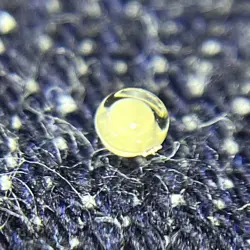 ROLEX LUMINUS POINT TRITIUM VINTAGE 5512 5513 1680 AND OTHERS