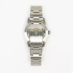 2025 Rolex Oyster Perpetual 41, 134300, Steel, Beige Dial, Oyster Bracelet, B...