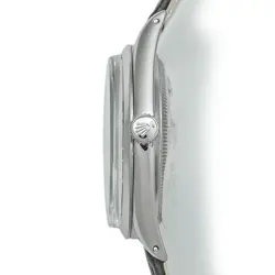 OYSTER PERPETUAL 1018
