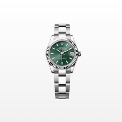 GREEN OYSTER 278274