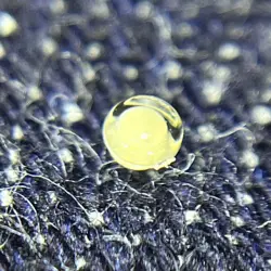 ROLEX LUMINUS POINT TRITIUM VINTAGE 5512 5513 1680 AND OTHERS USED