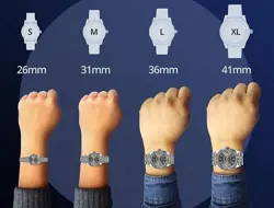36MM CHAMPAGNE INDEX