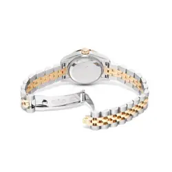 GOLD CASE: 2626MM