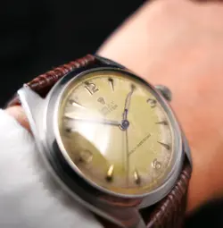 TROPICAL ROLEX