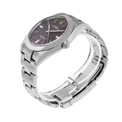 PERPETUAL 39MM STEEL