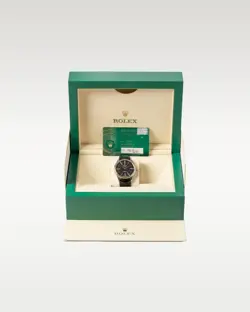 Rolex Cellini Time 50509 39mm Black Dial White gold Men's Watch