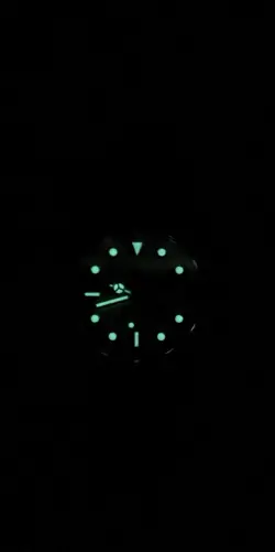 • SILVER DIAL