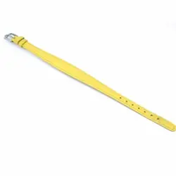 BUCKLE YELLOW