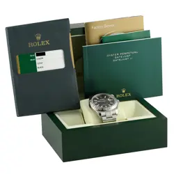 OYSTER WATCH 116334