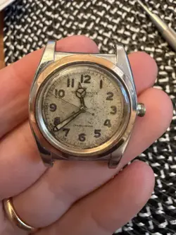 STEEL BUBBLEBACK