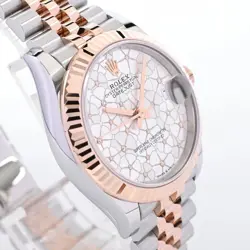 CASE SIZE 31MM