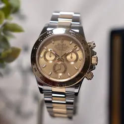 DAYTONA 116503 CHAMPAGNE