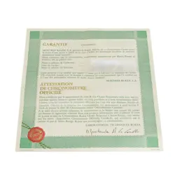 Rolex Oyster perpetual 34 1002 silver/bar Dial Watch