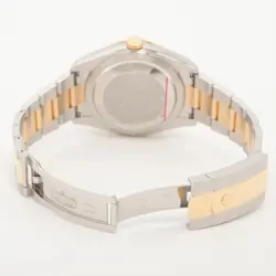 SKY-DWELLER 326933