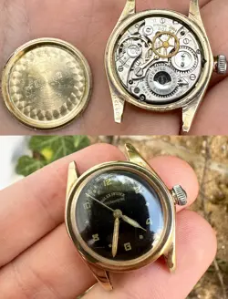 31 WATCH 2595