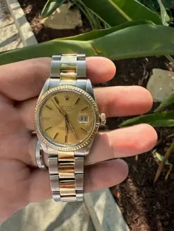 OYSTER BAND 16013