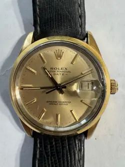 FROM 1985 ALLIGATOR