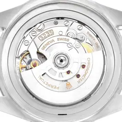 Rolex Seadweller Deepsea Cameron D-Blue Dial Steel Mens Watch 136660