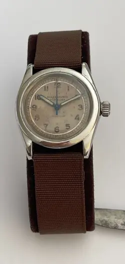OBSERVATORY WATCH 31