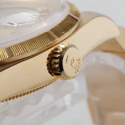 ROLEX Day Date Bark 8P Diamond/2P Bucket Diamond 18248A Champagne Gold L Num...