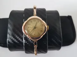 CASE AND STRAP