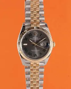 36MM 126331