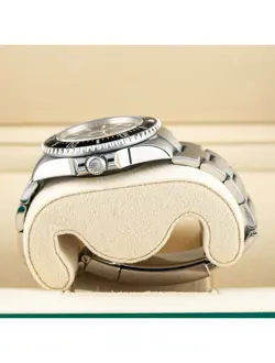 SEA-DWELLER 43MM STEEL