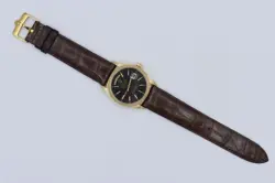 CASE BROWN