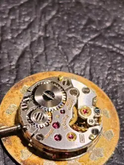 SOLID 14CT