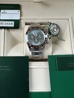 116506 PLATINUM OYSTER