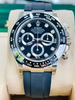 116519 OYSTERFLEX